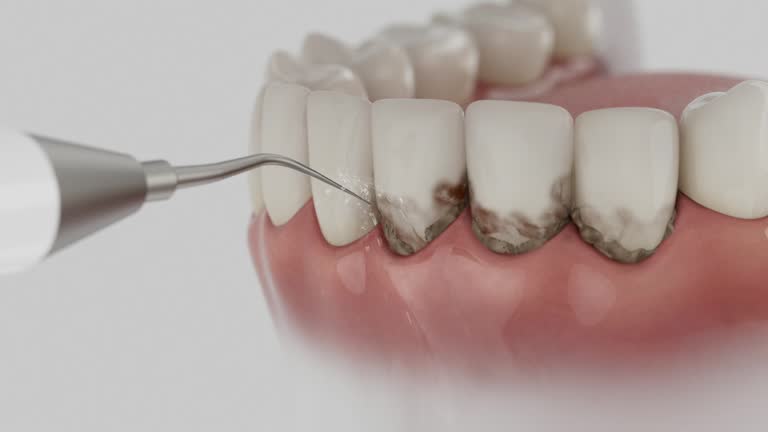 Reliable Dental contractor in West Liberty, WV by Dentist Open Now